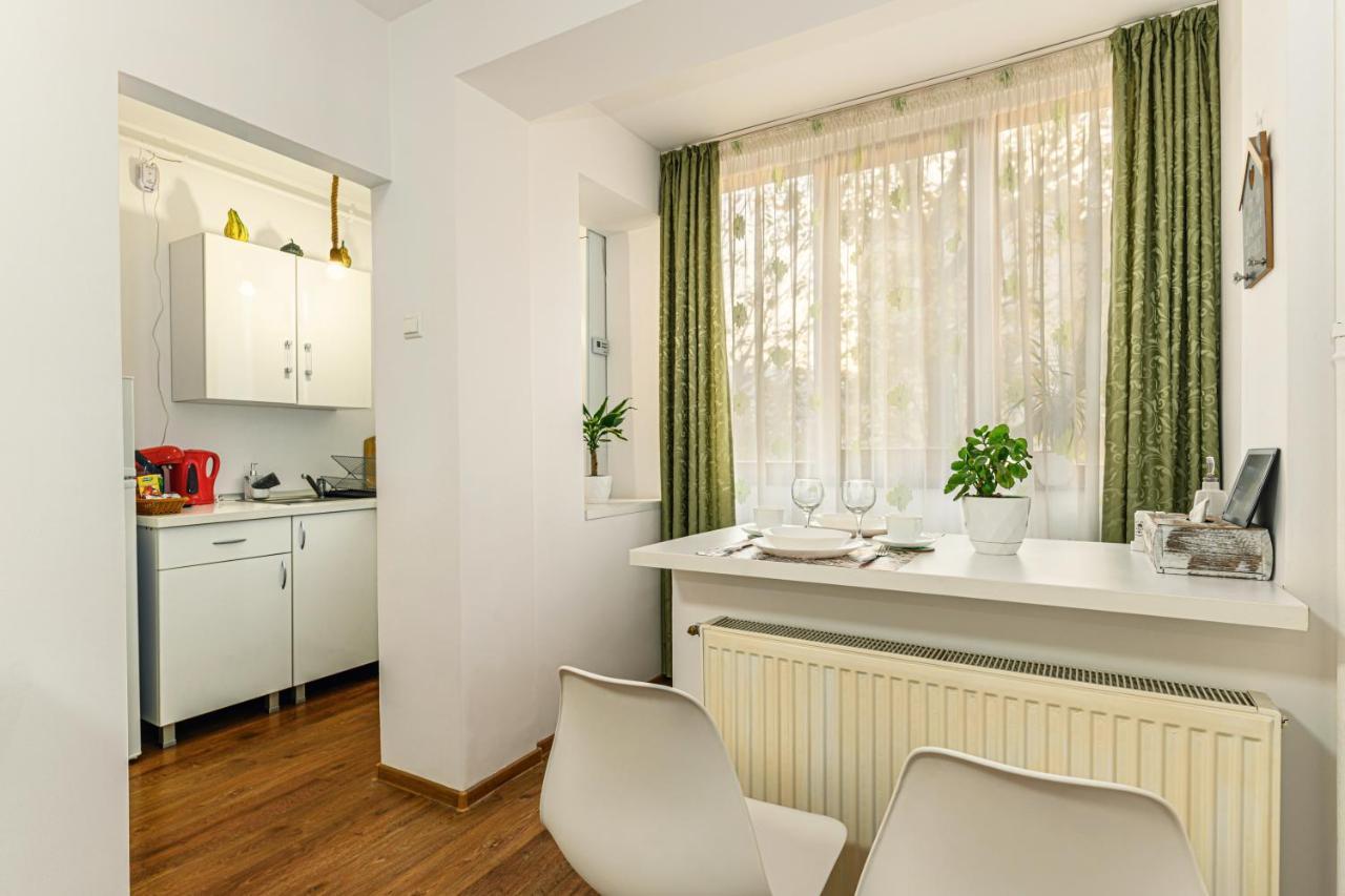 Jad - Family - Apartments & Studios Brasov Exterior photo