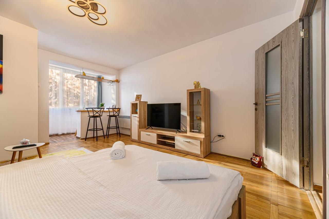 Jad - Family - Apartments & Studios Brasov Exterior photo
