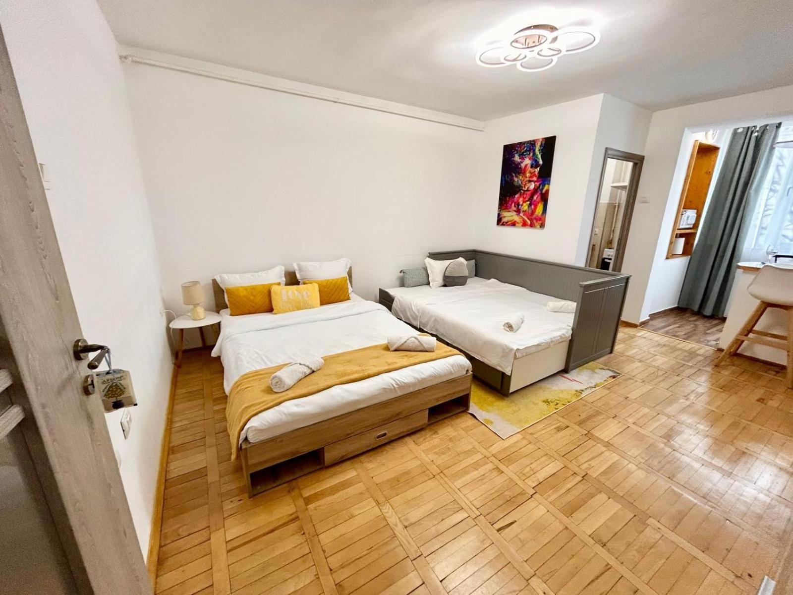 Jad - Family - Apartments & Studios Brasov Exterior photo